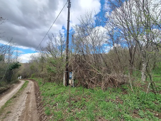Eladó telek Szentbékkálla 5596 nm