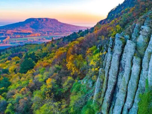 Eladó telek Hegymagas 905 nm