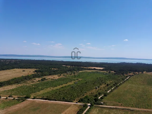 Eladó telek Dörgicse 29350 nm