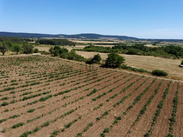 Eladó telek Köveskál 11470 nm