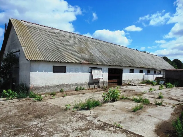 Eladó mezőgazdasági ingatlan Hajdúbagos 7565 nm