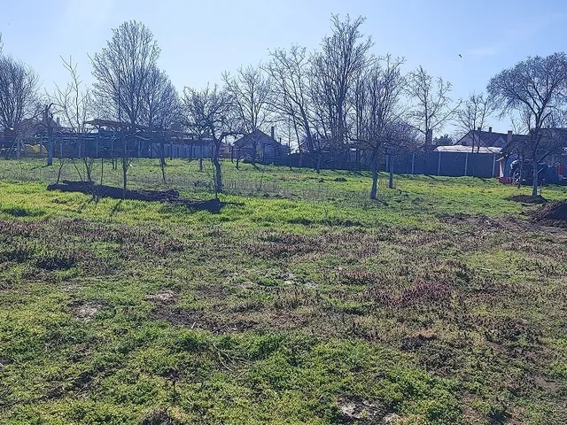 Eladó telek Derecske 650 nm