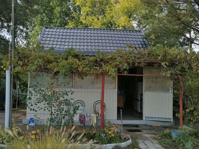 Eladó mezőgazdasági ingatlan Bocskaikert 700 nm