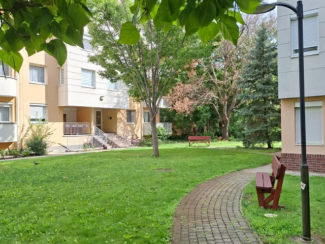 Kiadó lakás Debrecen, Nagyerdőalja, Damjanich 75 nm