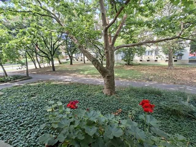 Eladó lakás Debrecen, Belváros 43 nm
