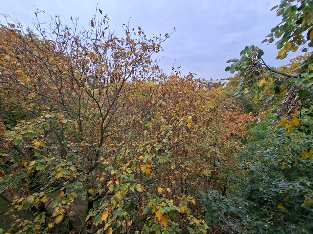 Eladó lakás Debrecen, Nagyerdőalja, Rózsahegy 43 nm