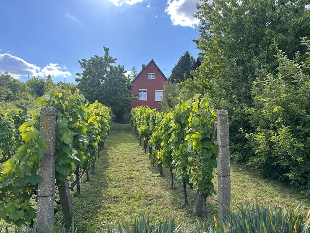 Eladó ház Pécs, Rácváros, Szőlész Dűlő 50 nm