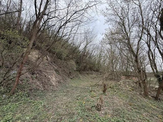 Eladó telek Felcsút 1766 nm