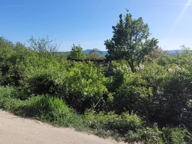 Eladó telek Budapest II. kerület, Nyék 2651 nm