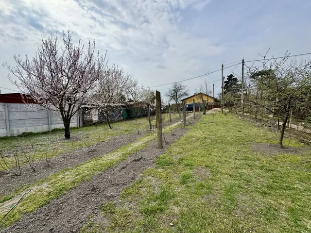 Eladó mezőgazdasági ingatlan Budapest XXI. kerület, Háros 1460 nm