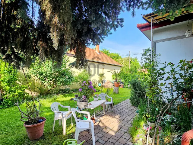 Kiadó ház Budapest III. kerület, Csillaghegy 61 nm