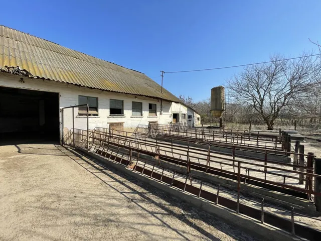 Eladó mezőgazdasági ingatlan Bölcske 65000 nm