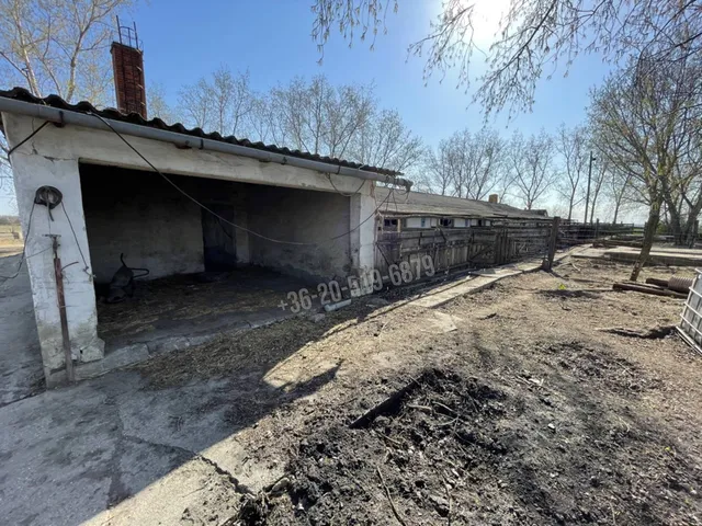 Eladó mezőgazdasági ingatlan Bölcske, Ady Endre utca 65000 nm