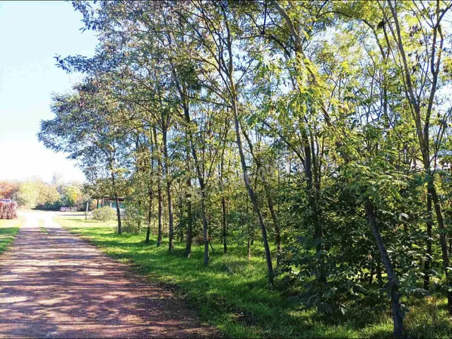 Eladó kereskedelmi és ipari ingatlan Békéscsaba 6000 nm