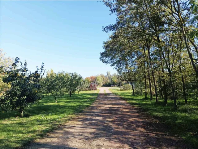 Eladó mezőgazdasági ingatlan Békéscsaba 120 nm