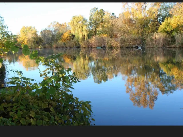 Eladó üdülő és hétvégi ház Gyomaendrőd, Vásárhelyi Pál  40 nm