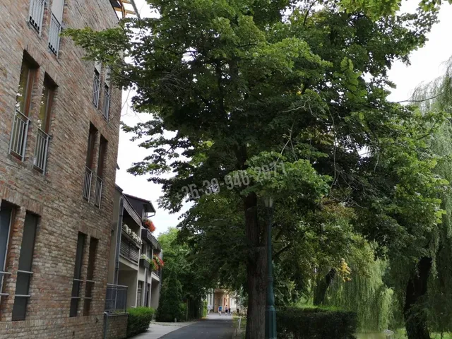 Eladó garázs Gyula 12 nm