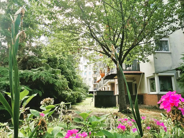 Kiadó lakás Budapest XIII. kerület, Angyalföld 49 nm