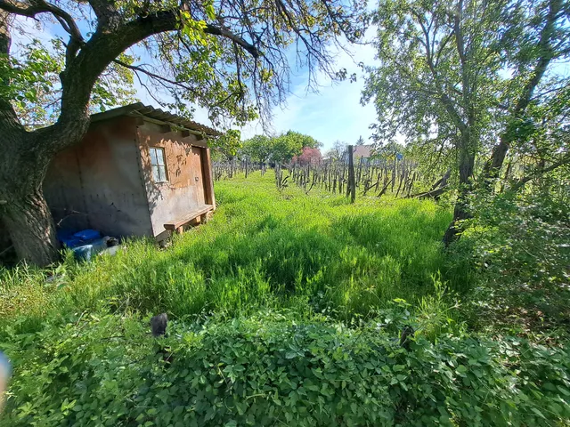 Eladó telek Csopak 1302 nm