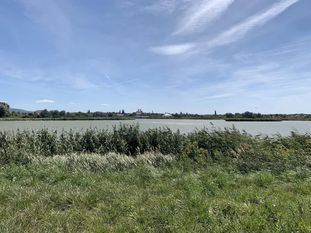 Eladó telek Tata 36000 nm