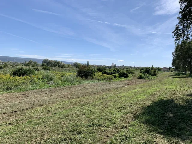 Eladó telek Tata 36000 nm