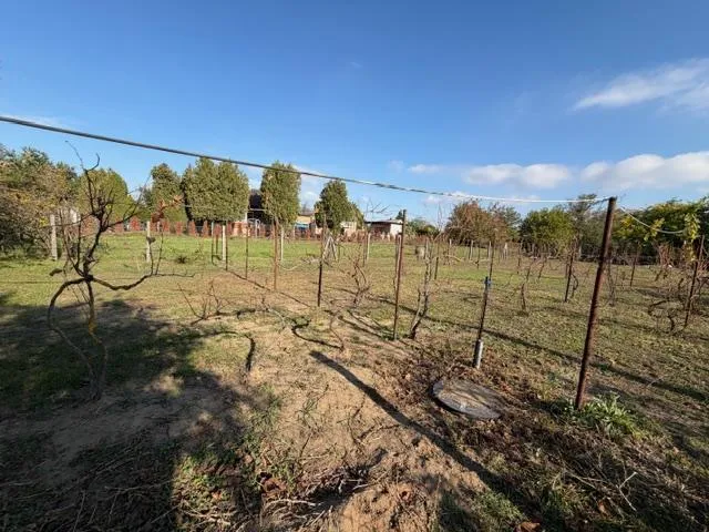 Eladó telek Tata 1000 nm