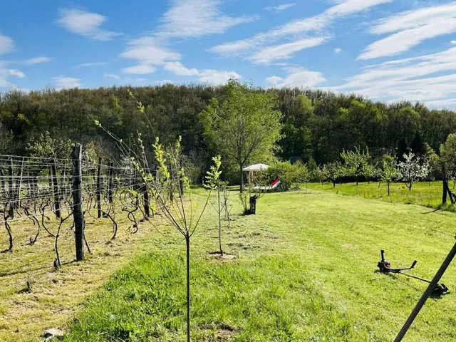 Eladó telek Várgesztes 1734 nm