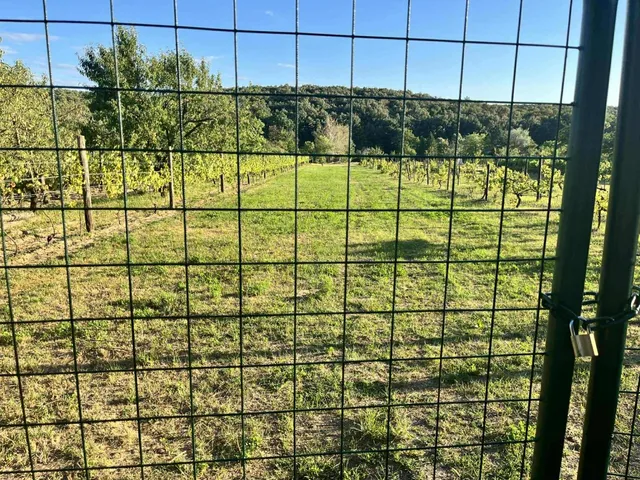 Eladó telek Várgesztes 1734 nm