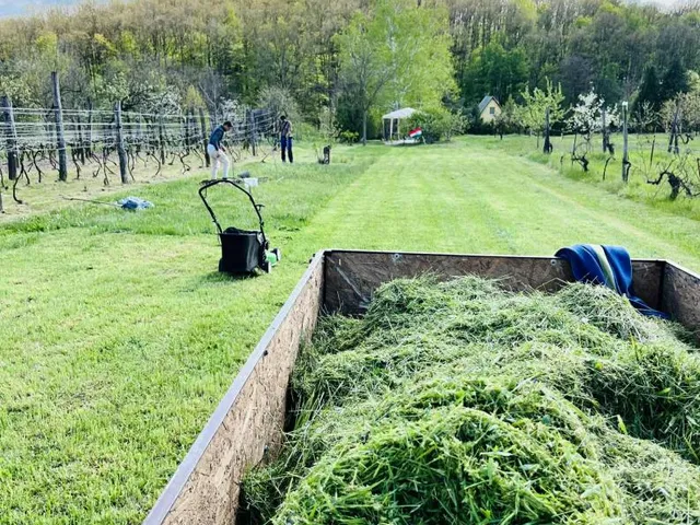 Eladó telek Várgesztes 1734 nm