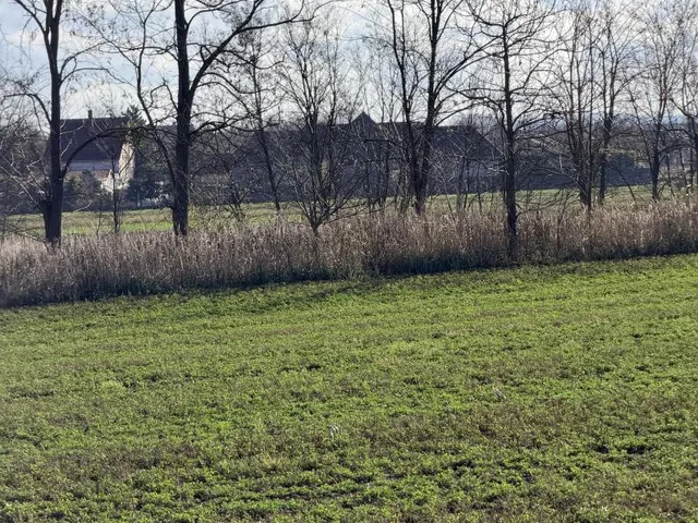 Kiadó mezőgazdasági ingatlan Tata 3400 nm