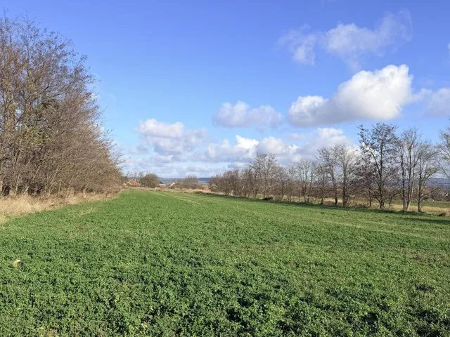 Eladó telek Tata 3400 nm