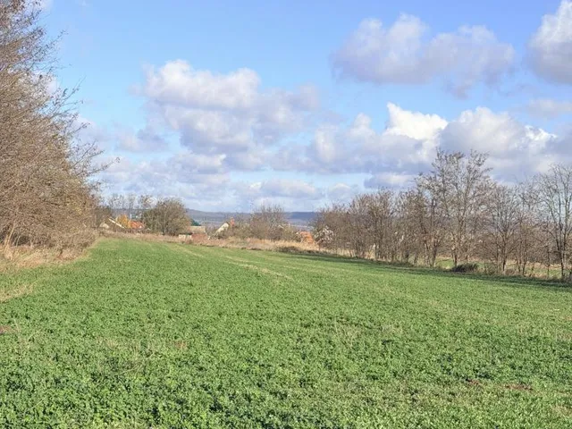 Eladó telek Tata 8004 nm