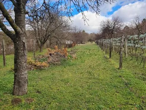 Eladó nyaraló Szomód 20 nm