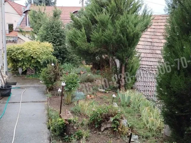 Eladó ház Eger, Almagyar 220 nm