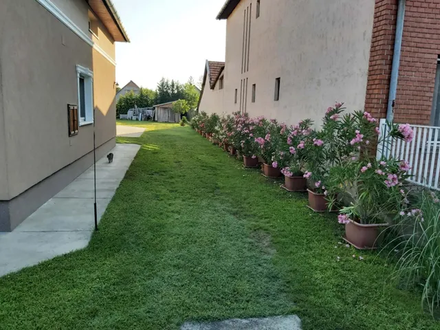 Eladó ház Kistelek 190 nm