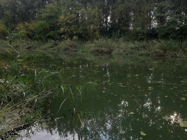 Eladó telek Hajdúszoboszló 500 nm