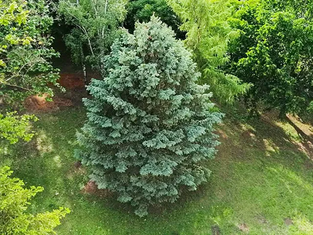 Eladó lakás Debrecen, Nagyerdőalja 55 nm