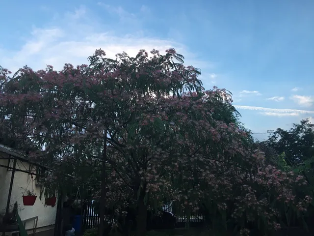 Eladó ház Debrecen 64 nm