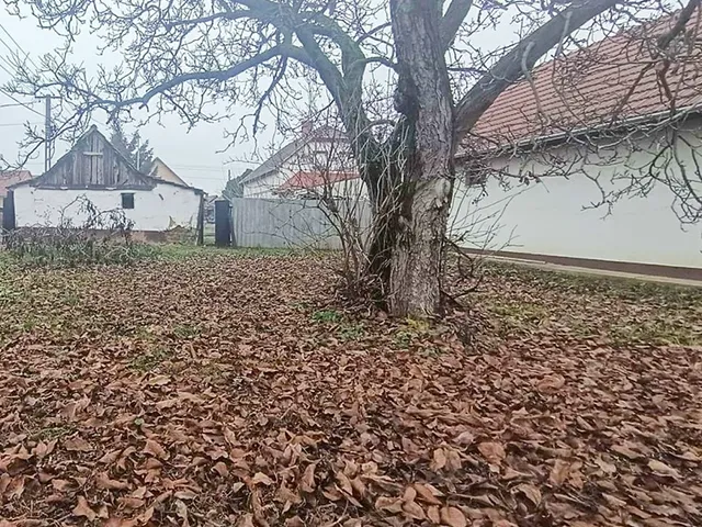 Eladó ház Berettyóújfalu 49 nm