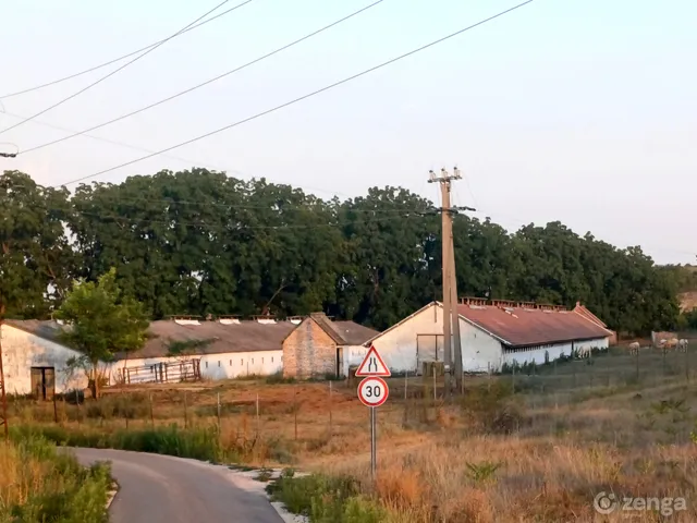 Eladó mezőgazdasági ingatlan Székesfehérvár 2400 nm