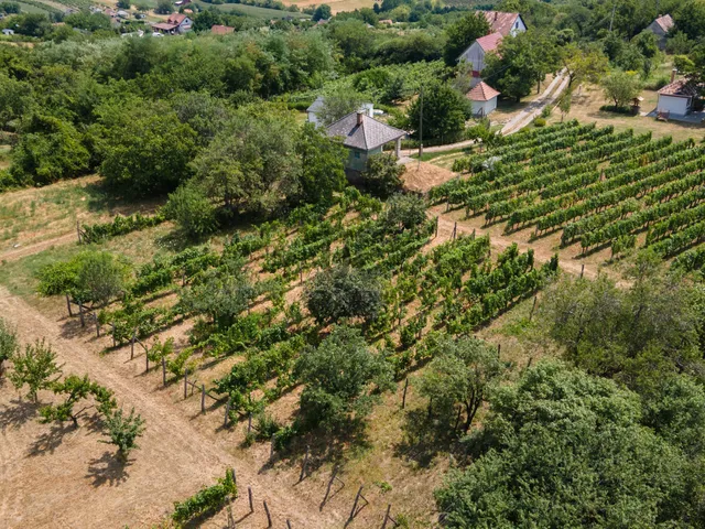 Eladó ház Pázmánd 40 nm