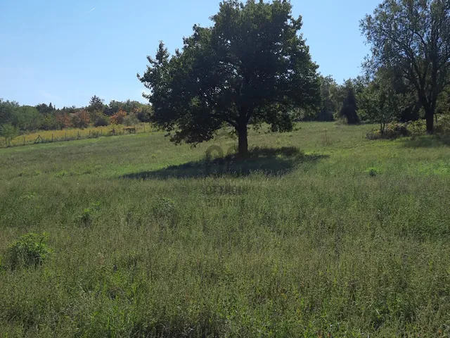 Eladó telek Lovasberény 985 nm