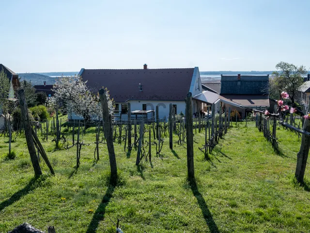 Eladó ház Pákozd 194 nm