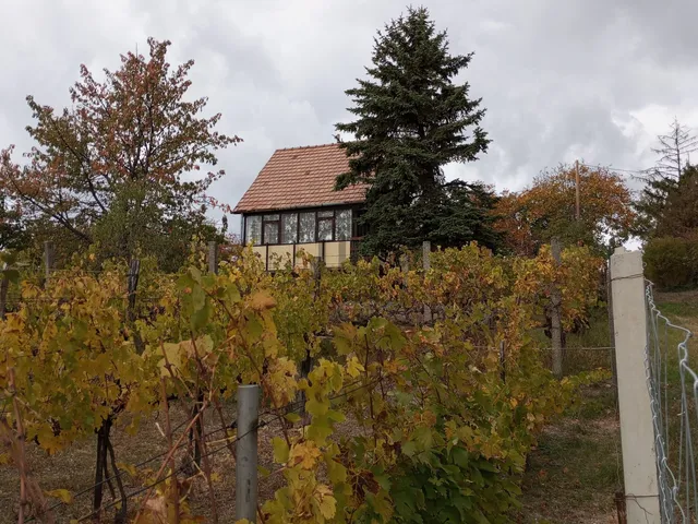 Eladó üdülő és hétvégi ház Pázmánd 21 nm