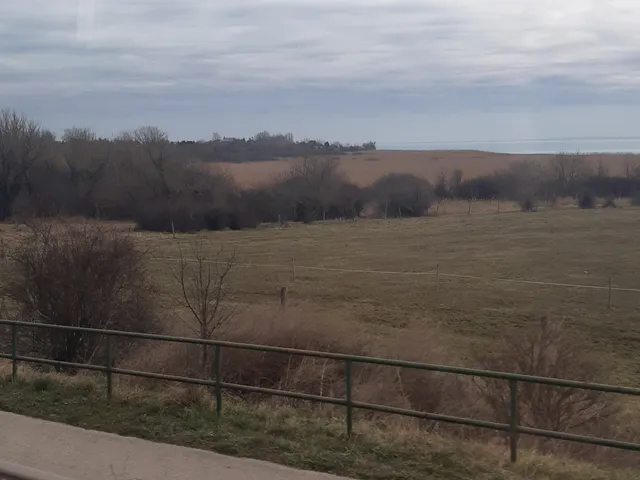 Eladó mezőgazdasági ingatlan Csopak 330 nm