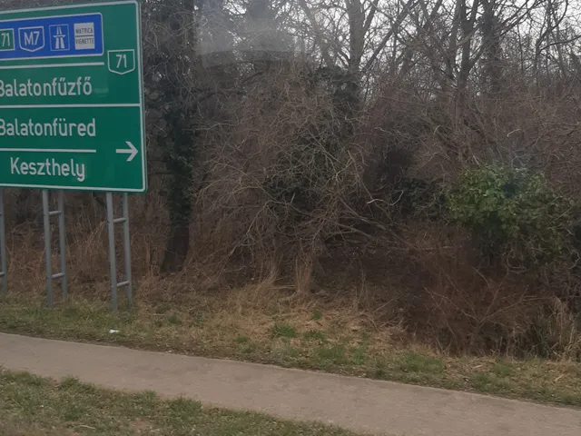 Eladó mezőgazdasági ingatlan Csopak 330 nm