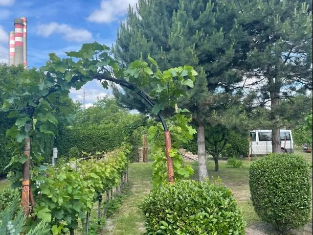 Eladó mezőgazdasági ingatlan Győr, Banai úti kertek 20 nm