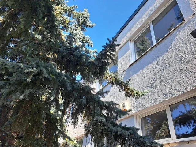 Kiadó kereskedelmi és ipari ingatlan Budapest XV. kerület, Újpalota 196 nm