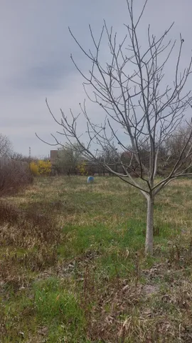 Eladó telek Szigetszentmiklós, Búza utca 878 nm