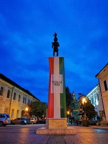 Eladó ház Tokaj, Aranyosi utca 232 nm